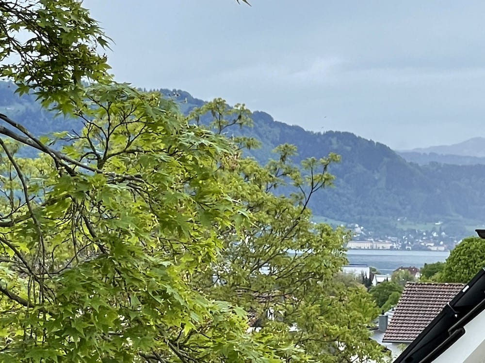 Blick über Lindau auf Bodensee und Alpen